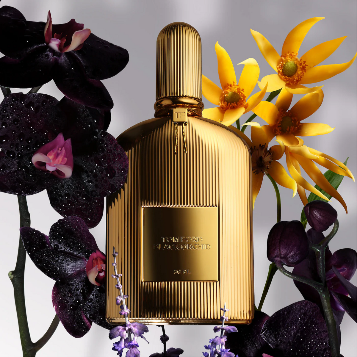Tom ford black discount orchid men or women