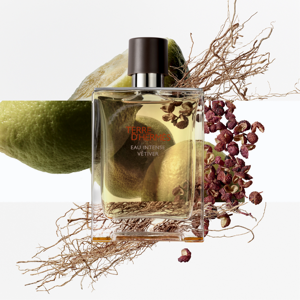 HERMES Terre de Hermes Eau Intense Vétiver Eau de Parfum for Men HERMES Terre de Hermes Eau Intense Vétiver Eau de Parfum for Men