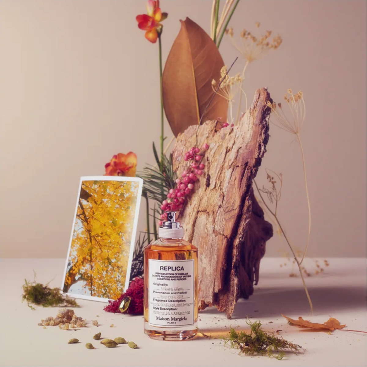 香水(ユニセックス) Maison Margiela REPLICA Autumn Vibes Maison Margiela REPLICA Autumn Vibes Eau de Toilette for Men