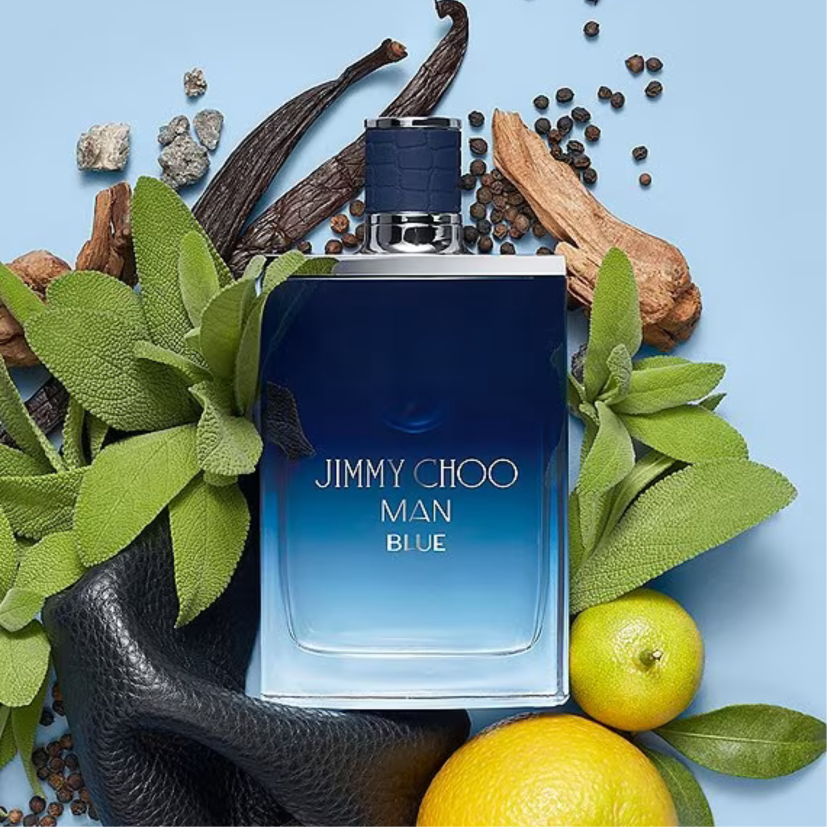 Jimmy choo top blue man