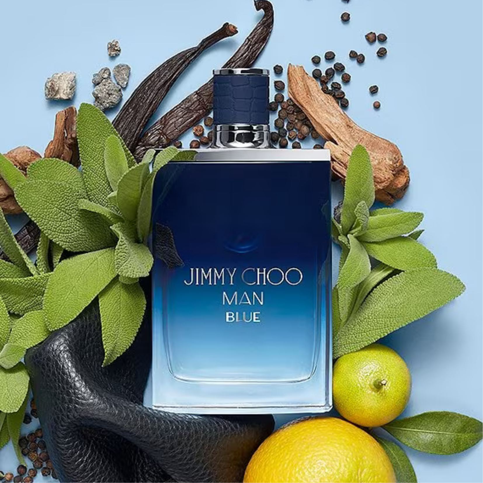 Jimmy Choo Man Blue Eau de Toilette for Men – Perfume Network India