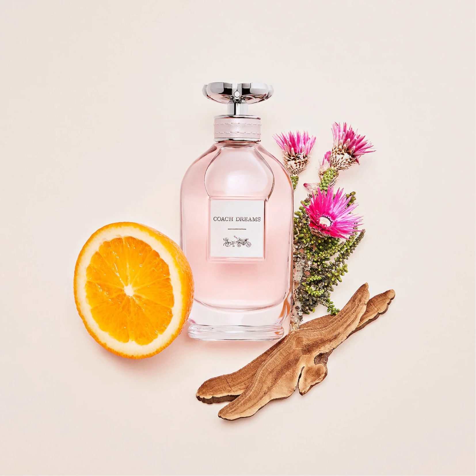 Hermes coach perfume Clearance