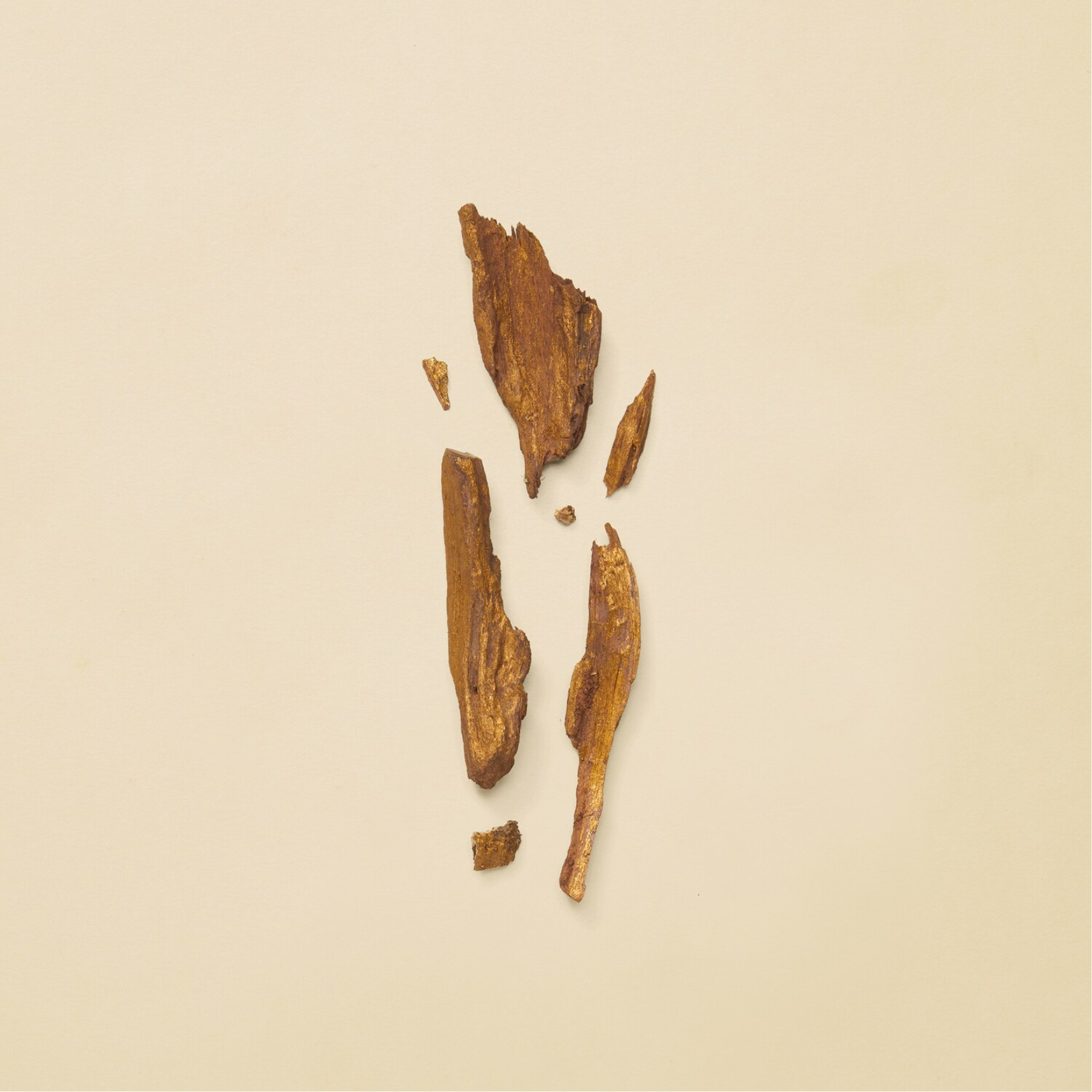 Gucci guilty absolute pour discount femme body lotion