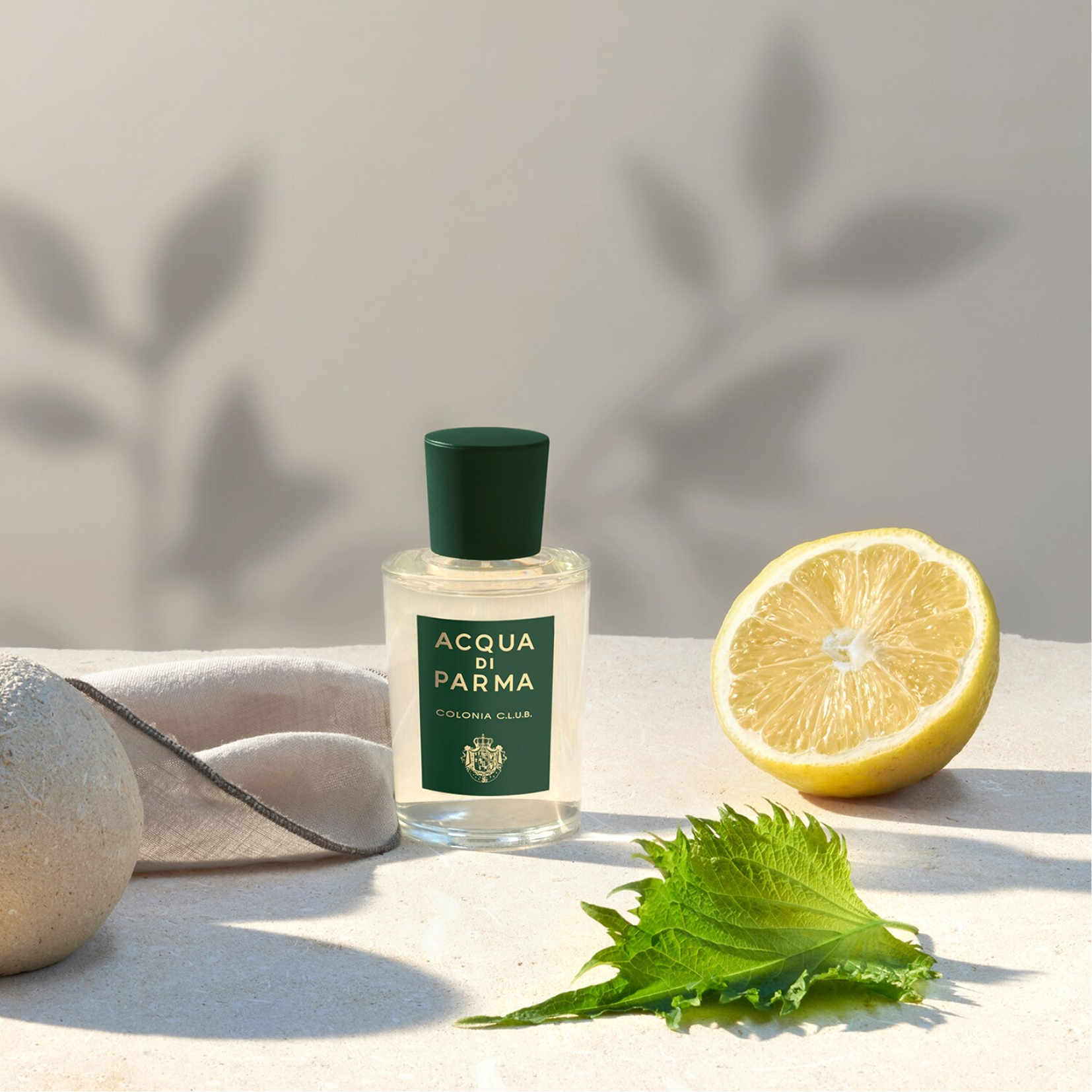 Packaging Parma Fragrance Colonia Il Profumo Acqua Di Parma