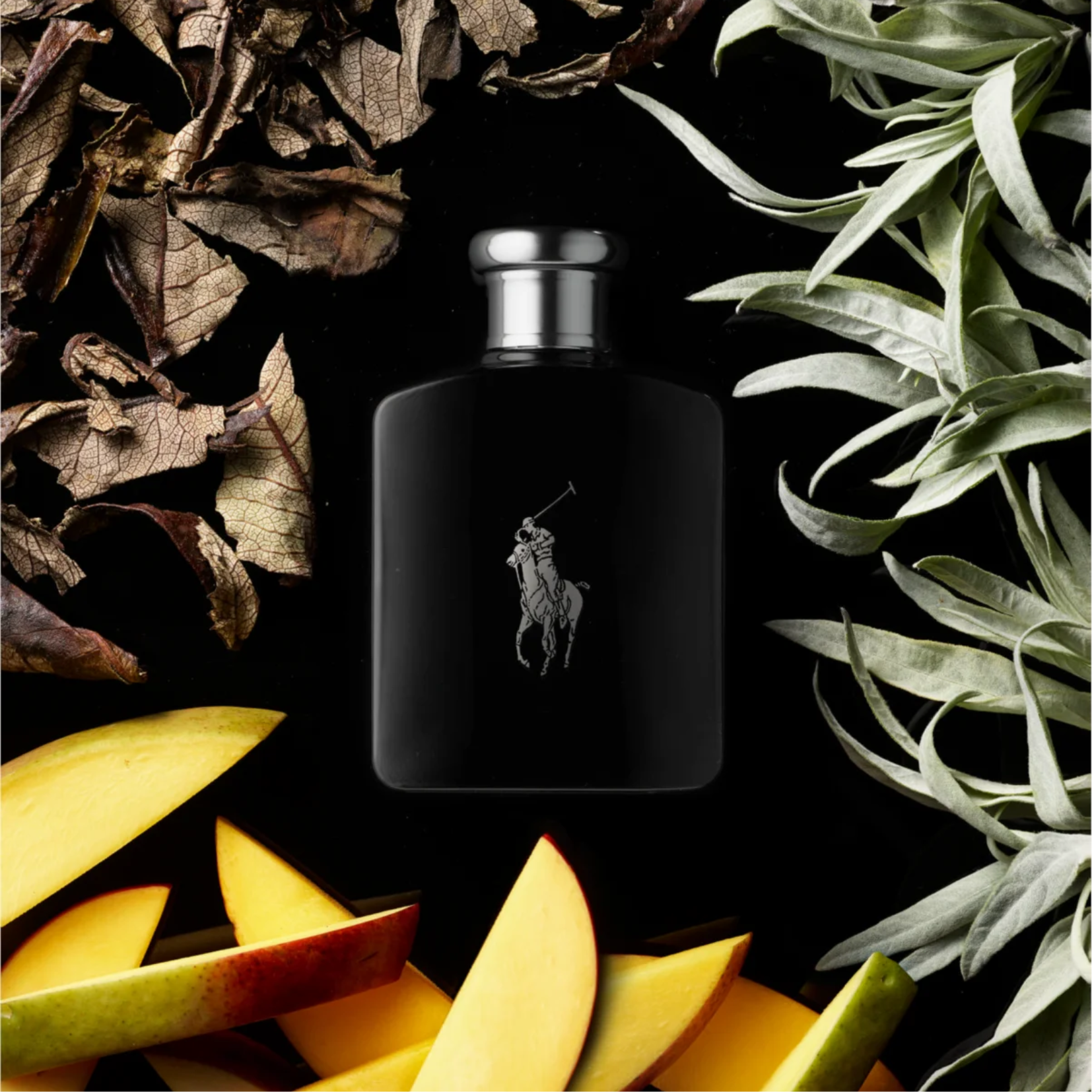 Parfum best sale polo black