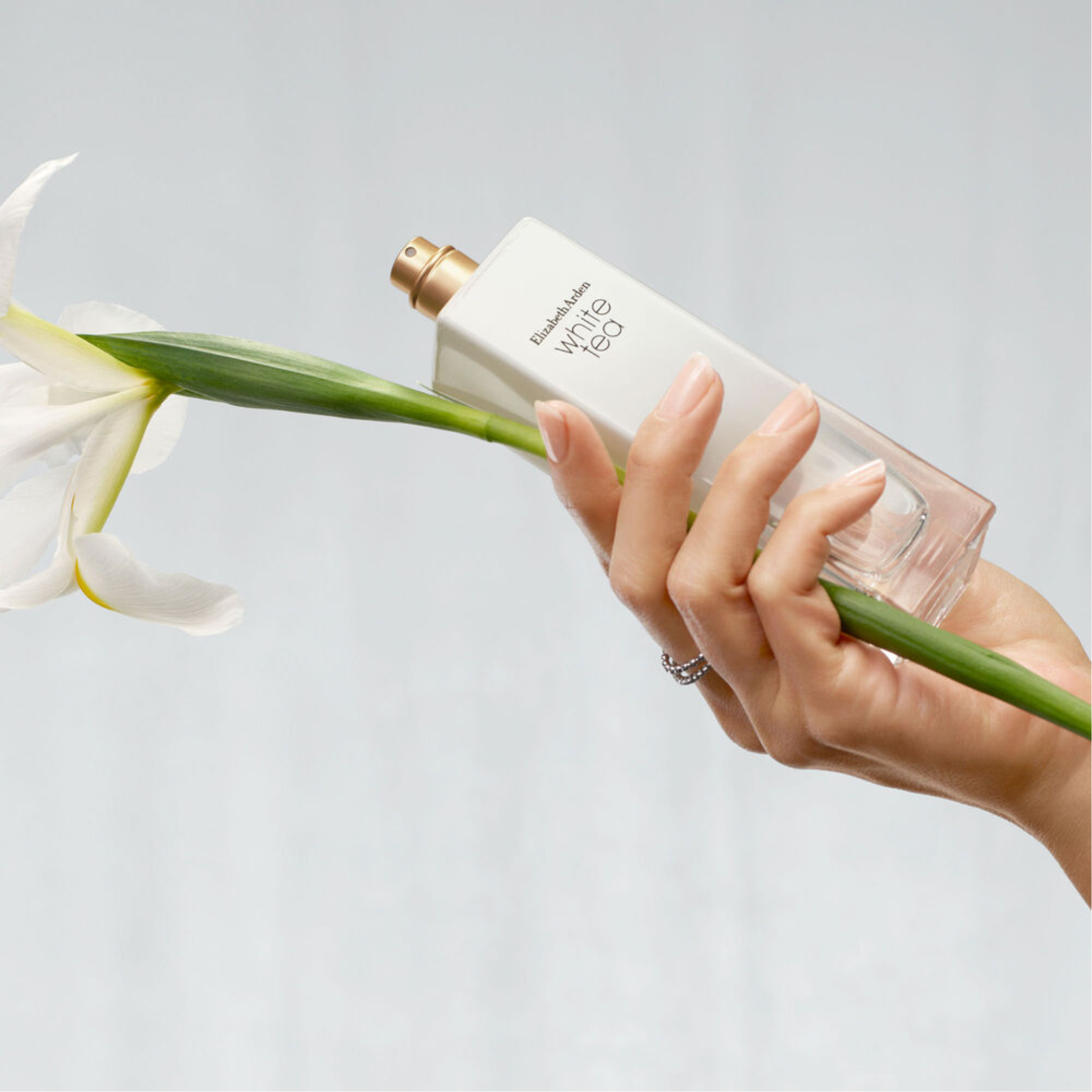 Elizabeth Arden White Tea Eau de Toilette for Women Perfume