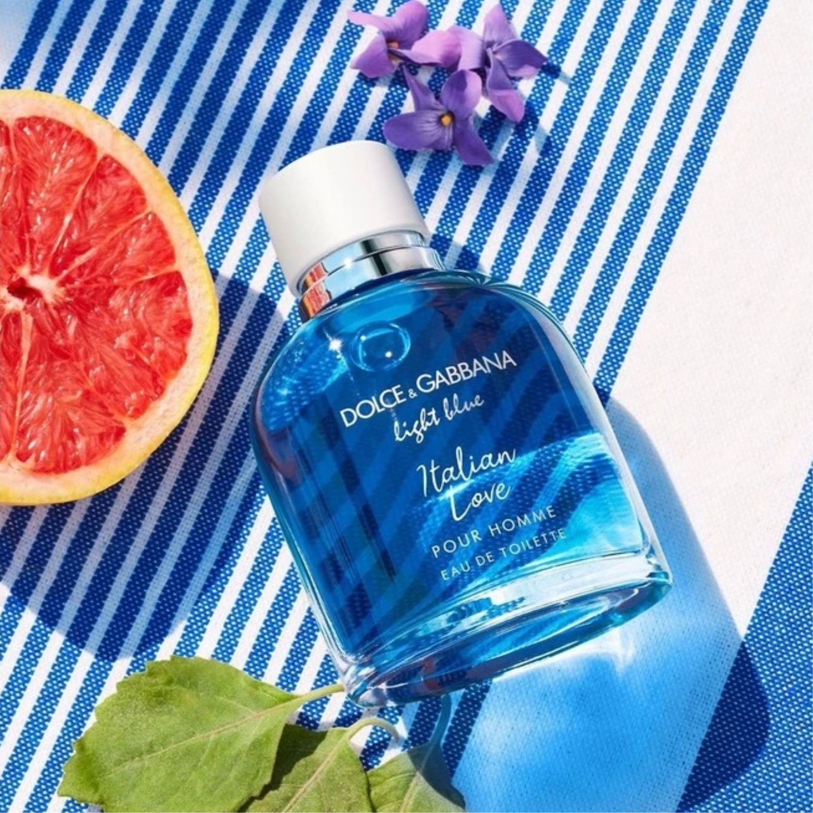 Dolce love is discount love