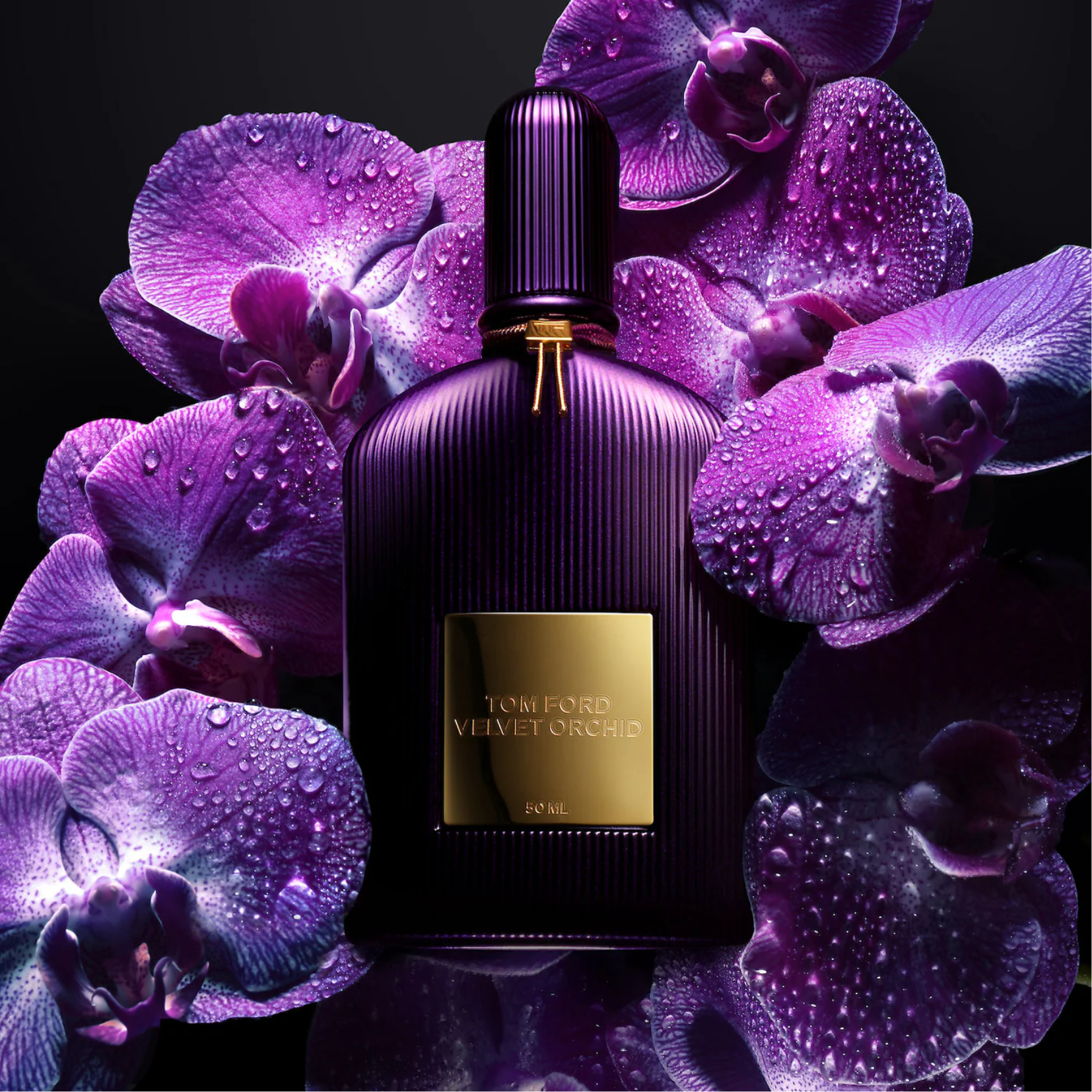 Tom Ford Velvet Orchid Eau de Parfum for Women – Perfume Network India