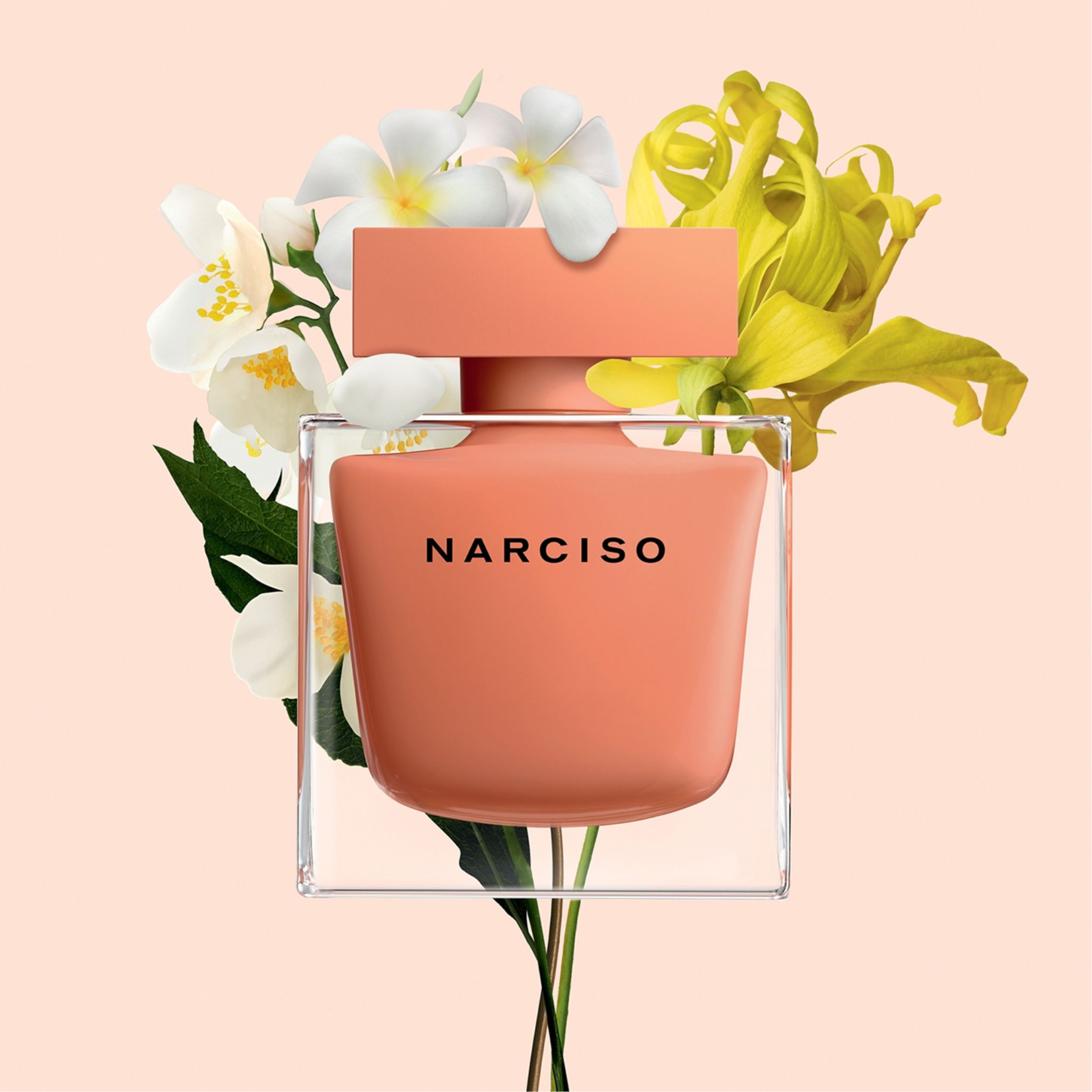 Narciso rodriguez for her orange sales