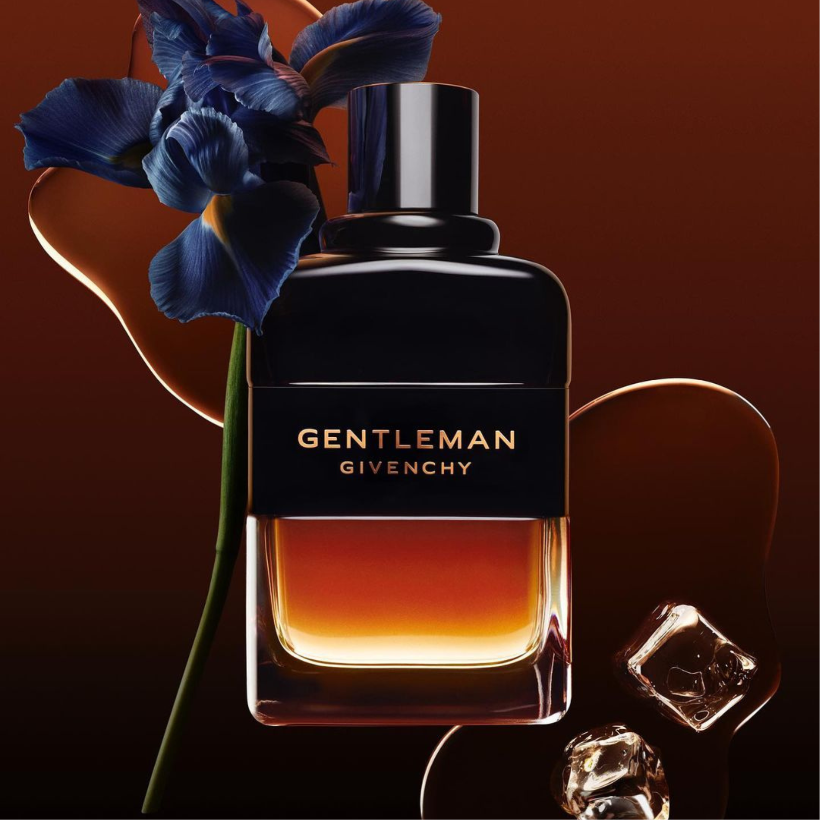 Givenchy top amber perfume