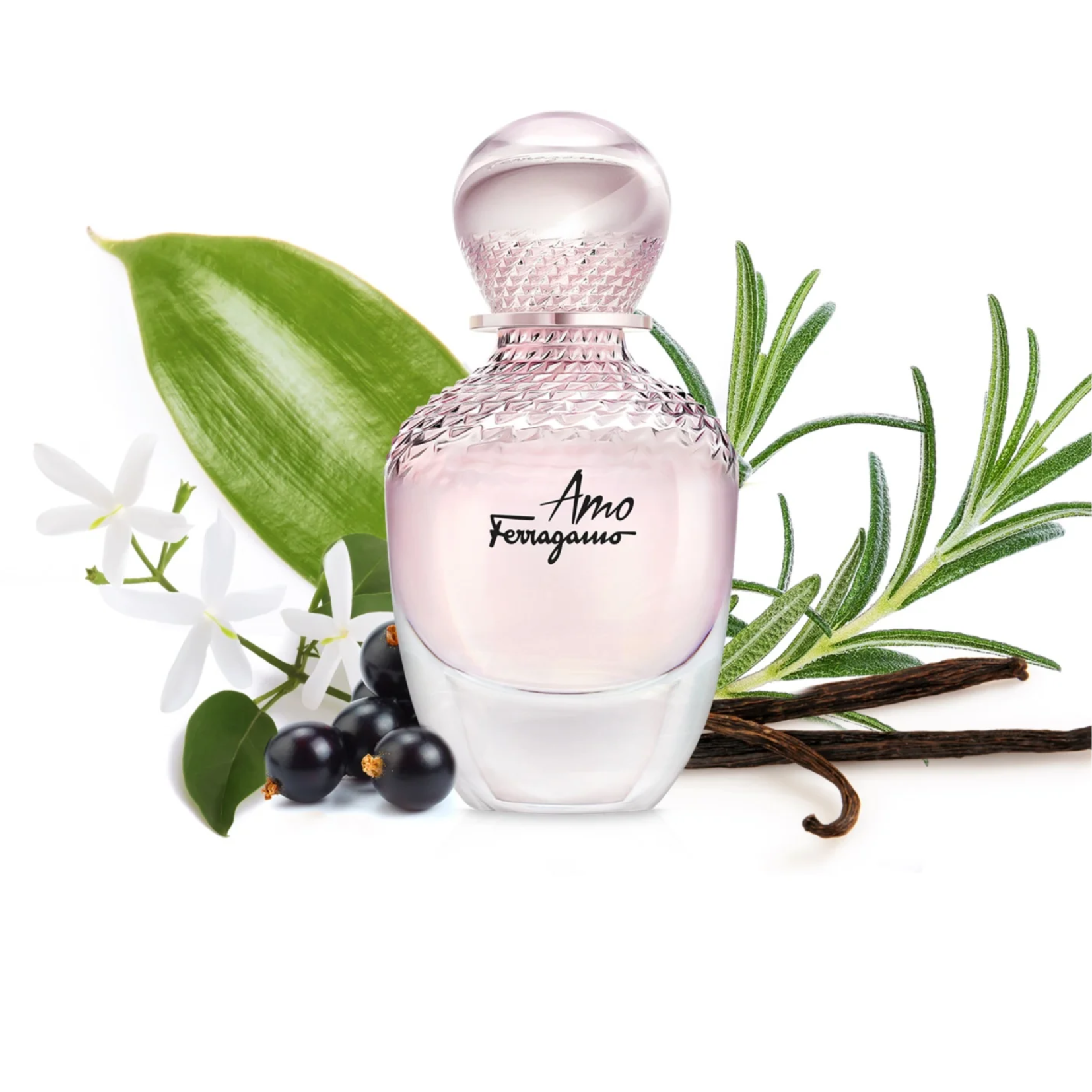 未使用 Amo Ferragamo PER LEI 50ml Ferragamo Amo Ferragamo Per Lei