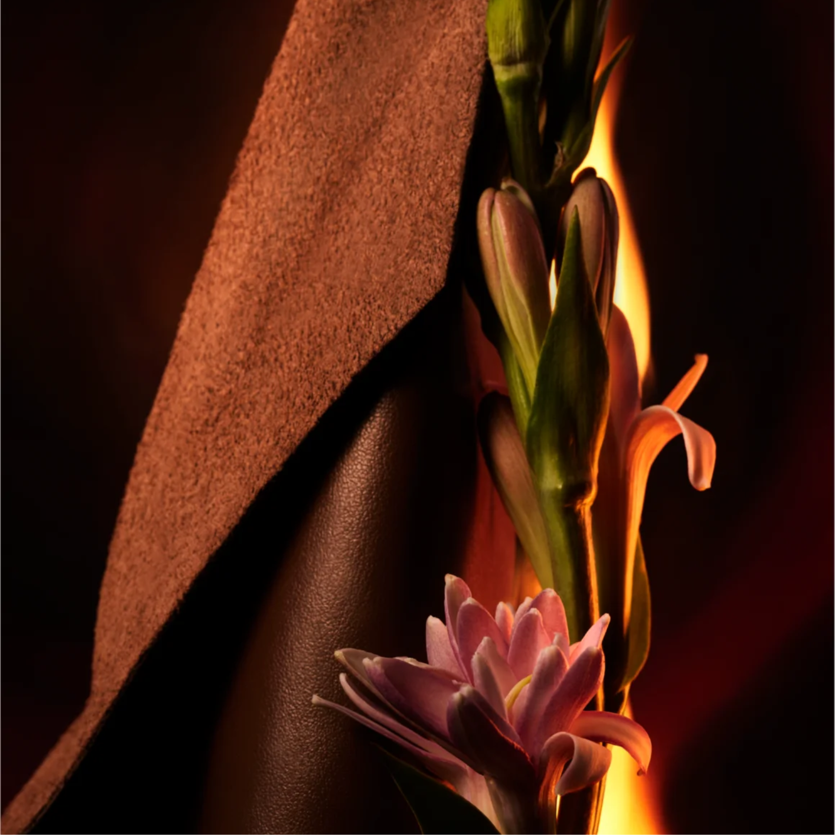 Bvlgari man in black discount ingredients