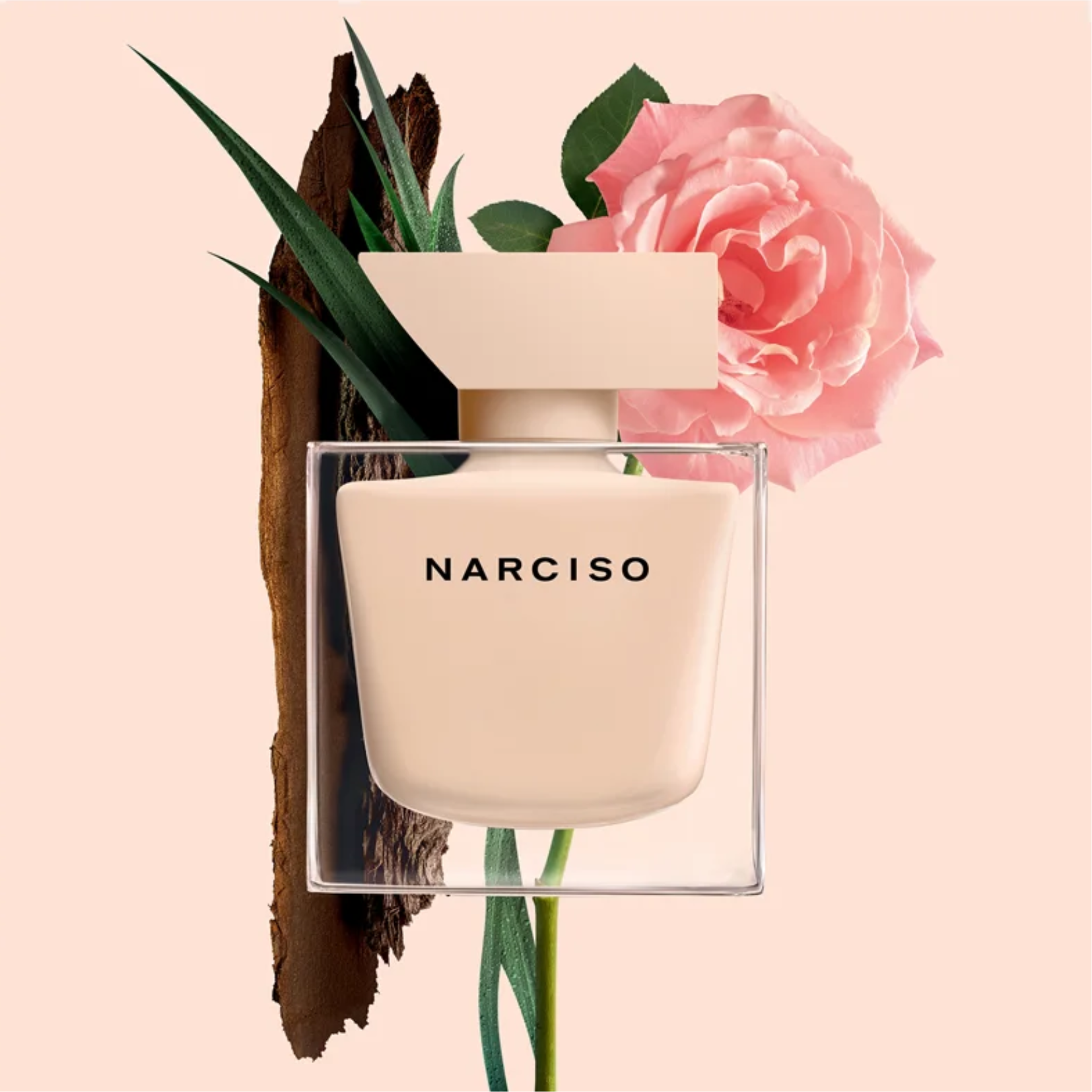 Narciso Rodriguez Narciso Poudr e Eau de Toilette for Women