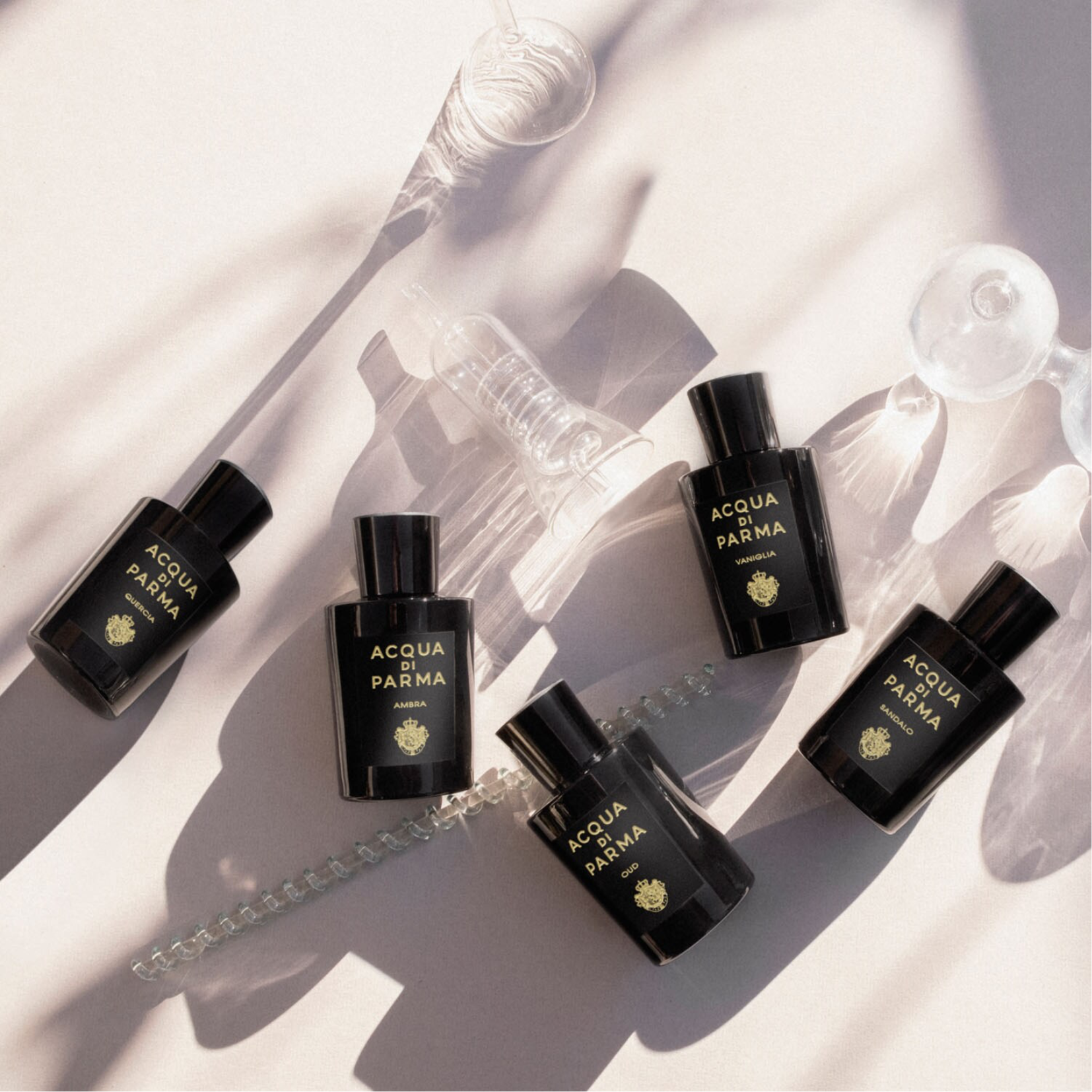 Acqua di Parma Ambra Eau de Parfum for Men Perfume Network India