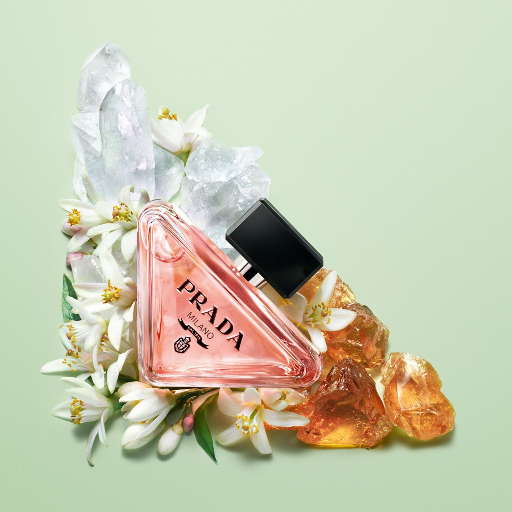 Prada top perfume cost