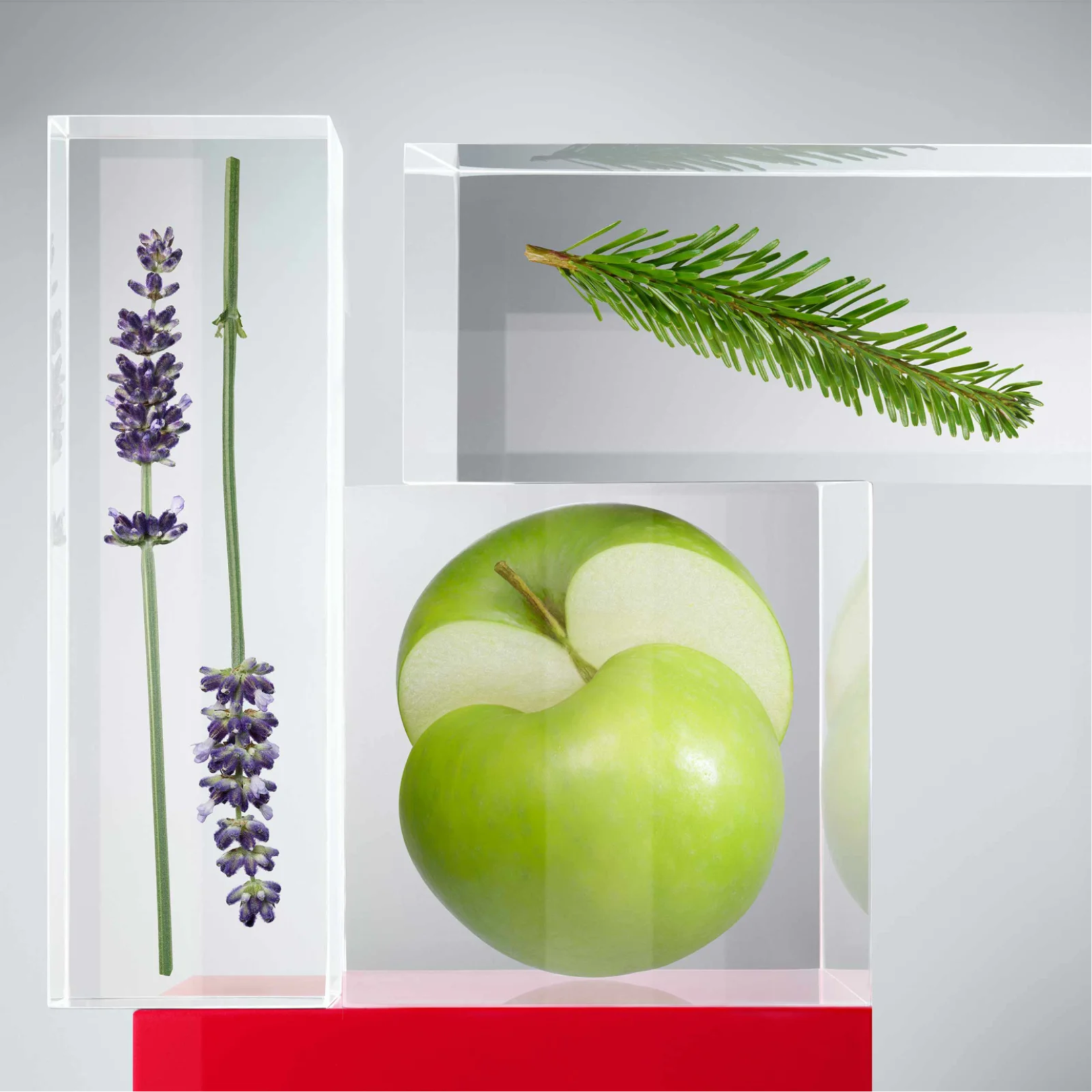 Hugo Boss HUGO Man Deodorant Stick for Men Perfume Network India