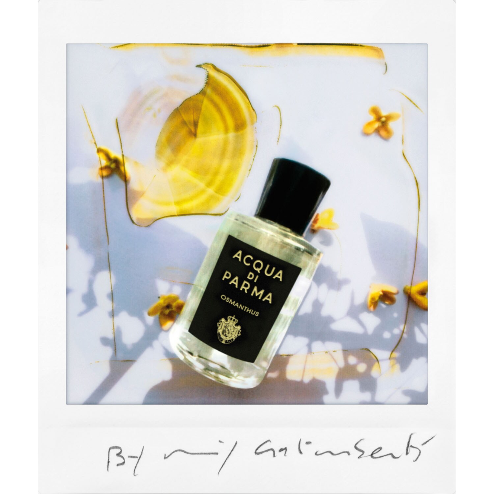 Osmanthus parfum clearance