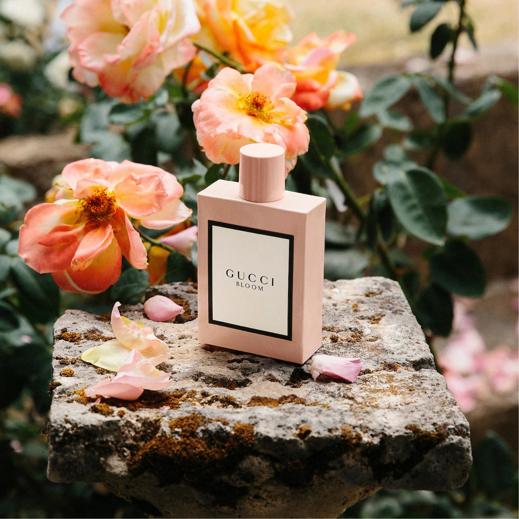 Gucci Bloom Eau de Parfum for Women – Perfume Network India