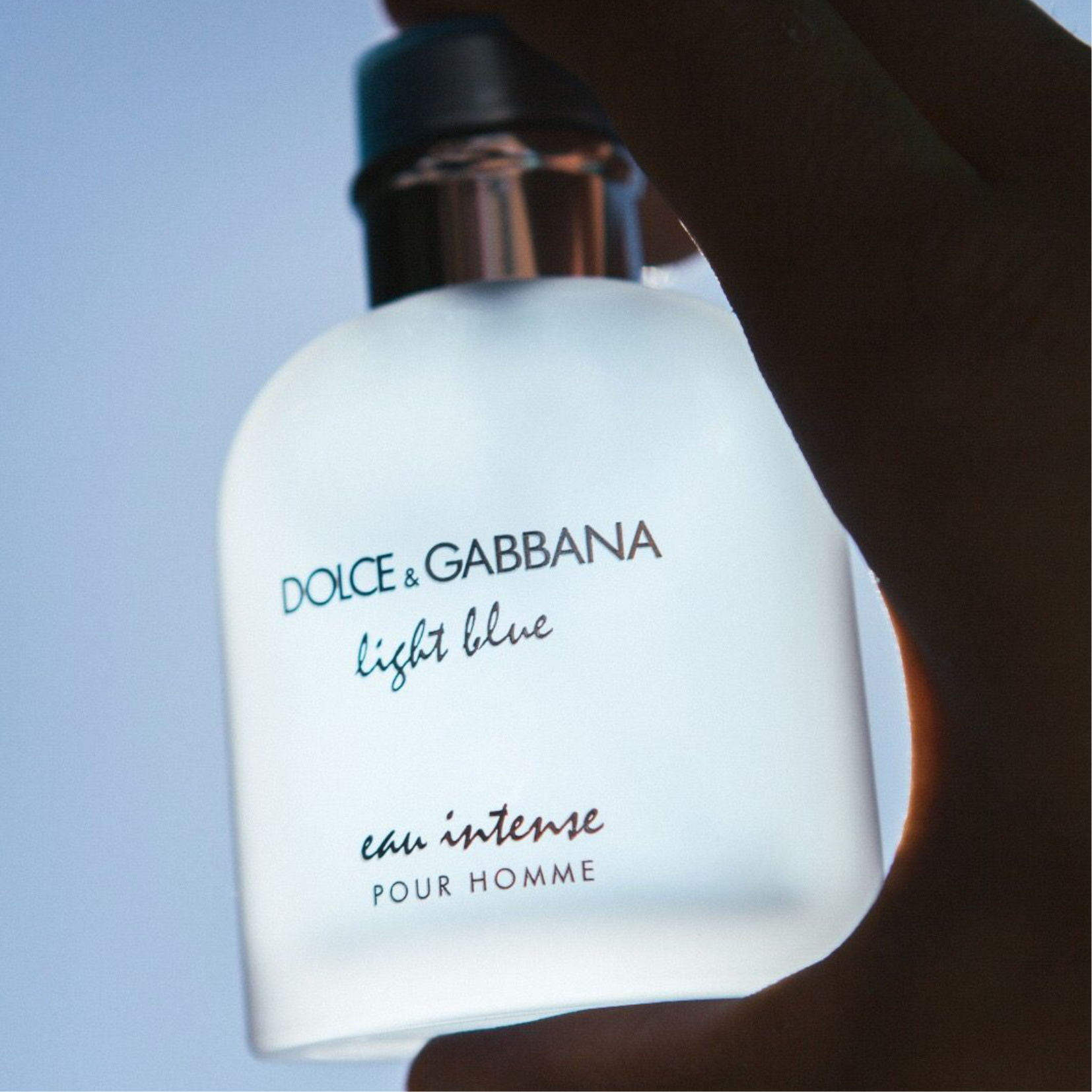 D&G LIGHT BLUE vs LIGHT BLUE EAU INTENSE vs LIGHT BLUE FOREVER