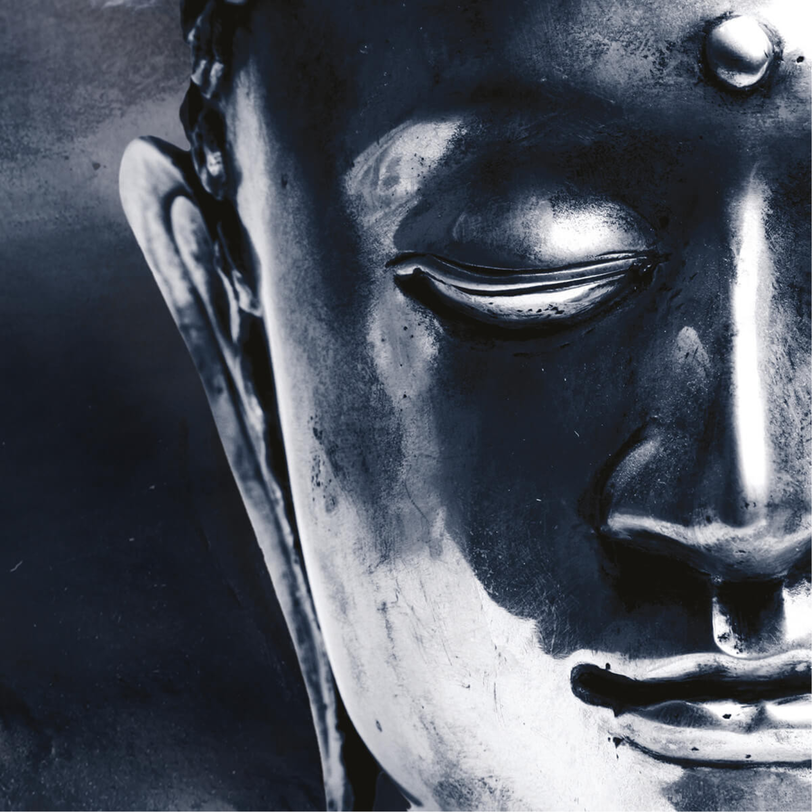 Xerjoff Shunkoin Eau de Parfum for Women - Main Image