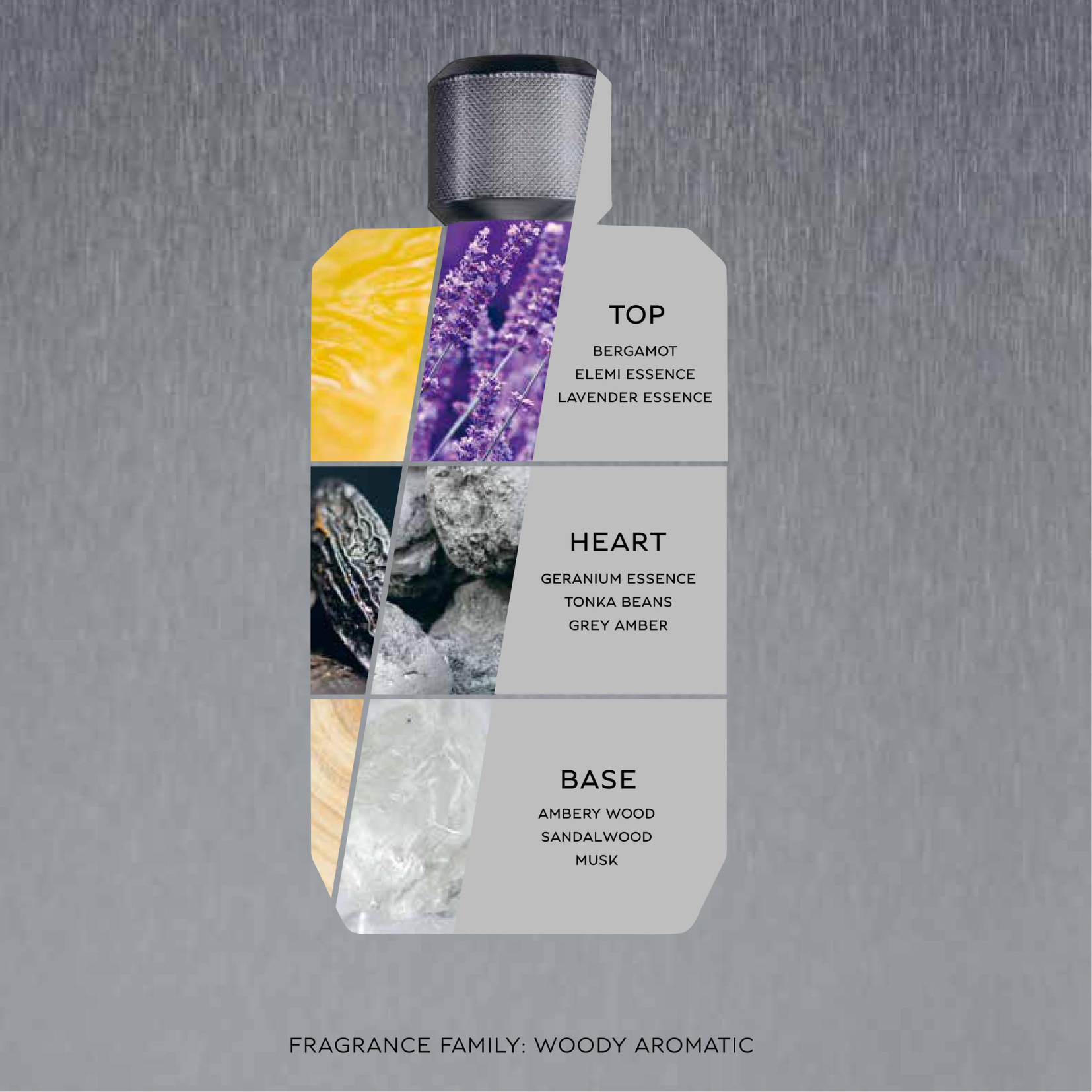 Bentley Momentum Intense Eau de Parfum for Men Perfume Network India