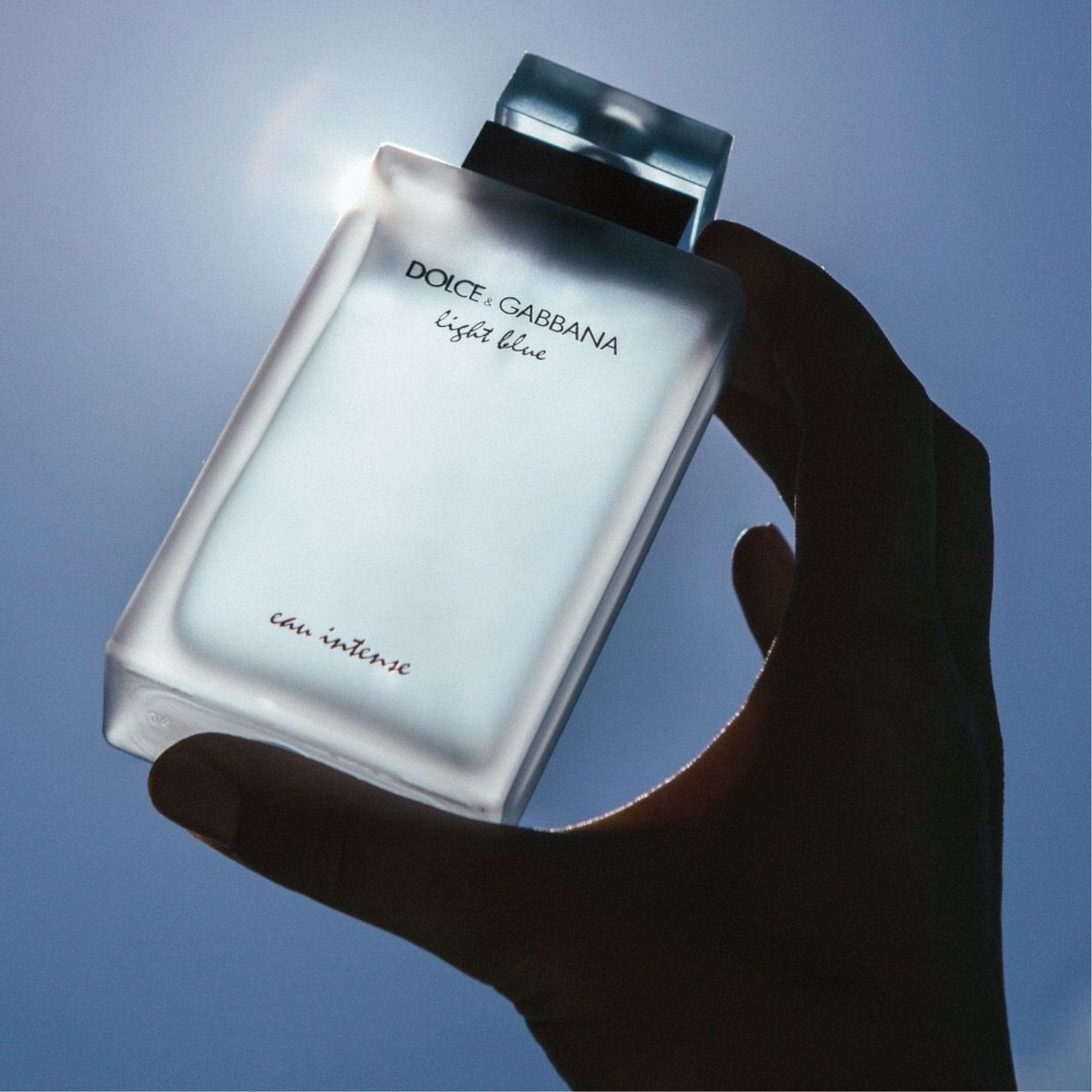 Dolce discount gabbana intense