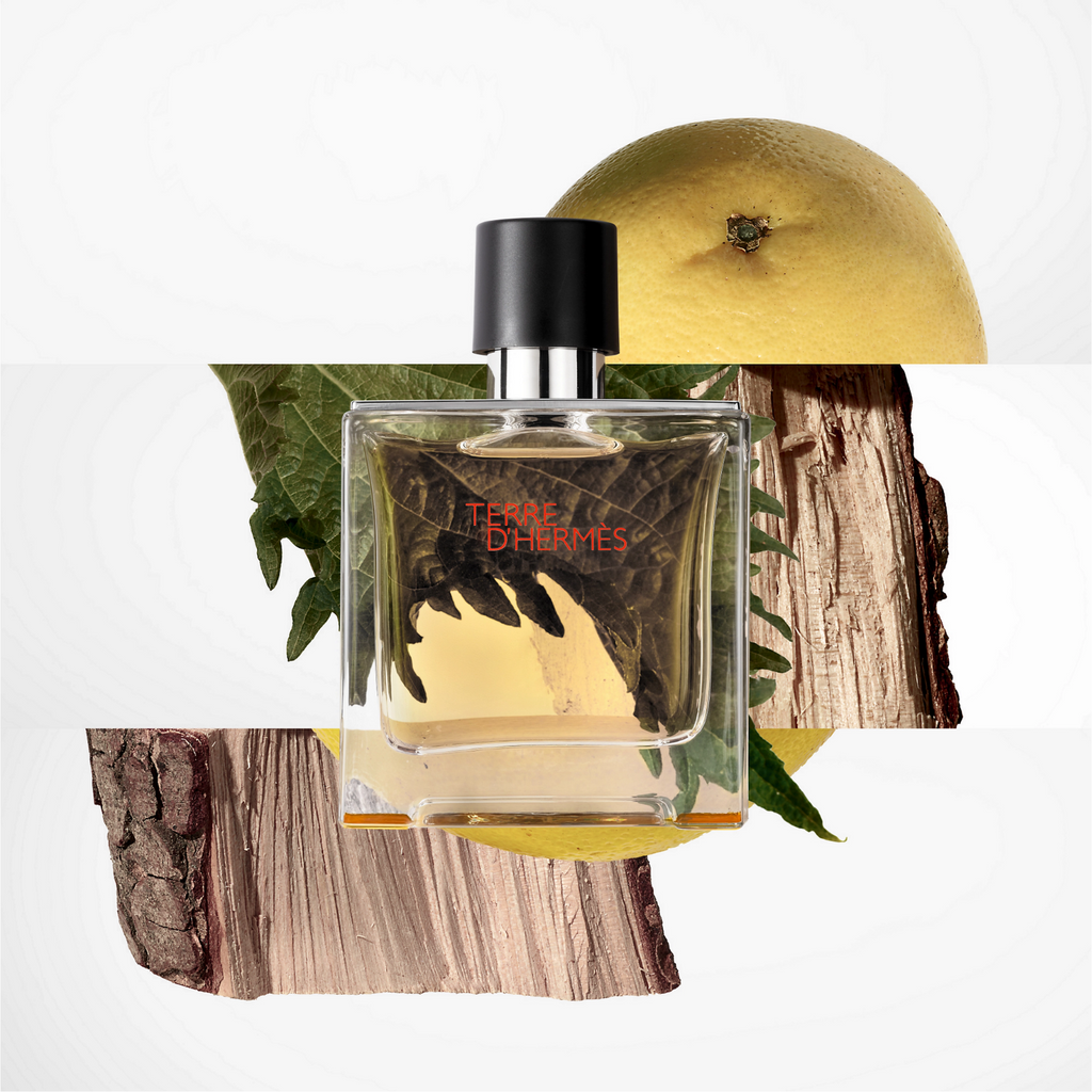 Hermes Terre de Hermes Eau de Toilette 100ml