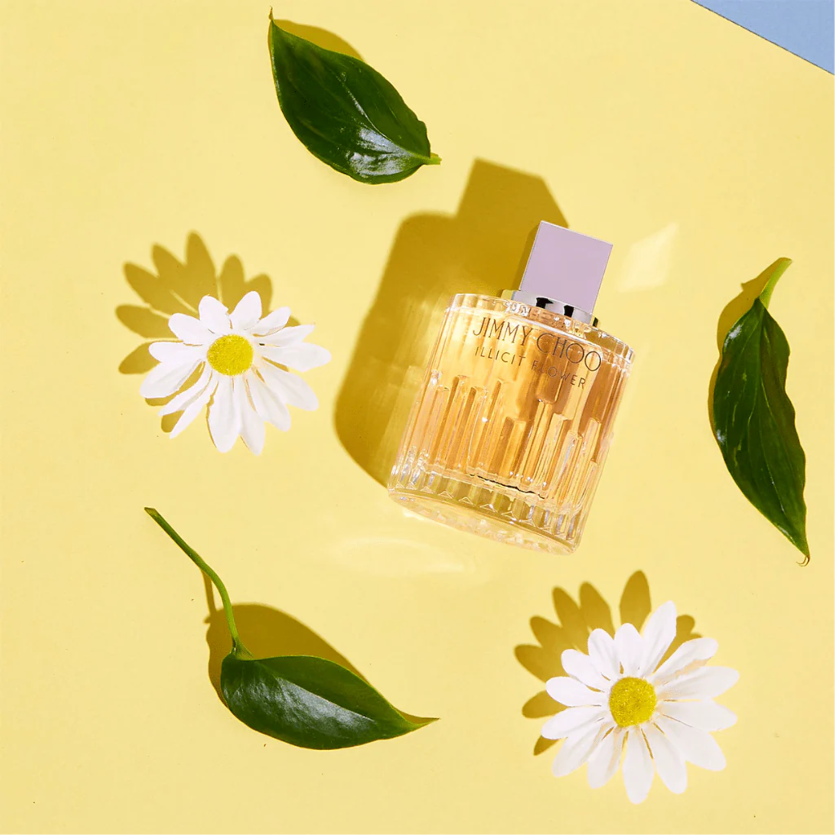 Jimmy choo parfum illicit flower sales