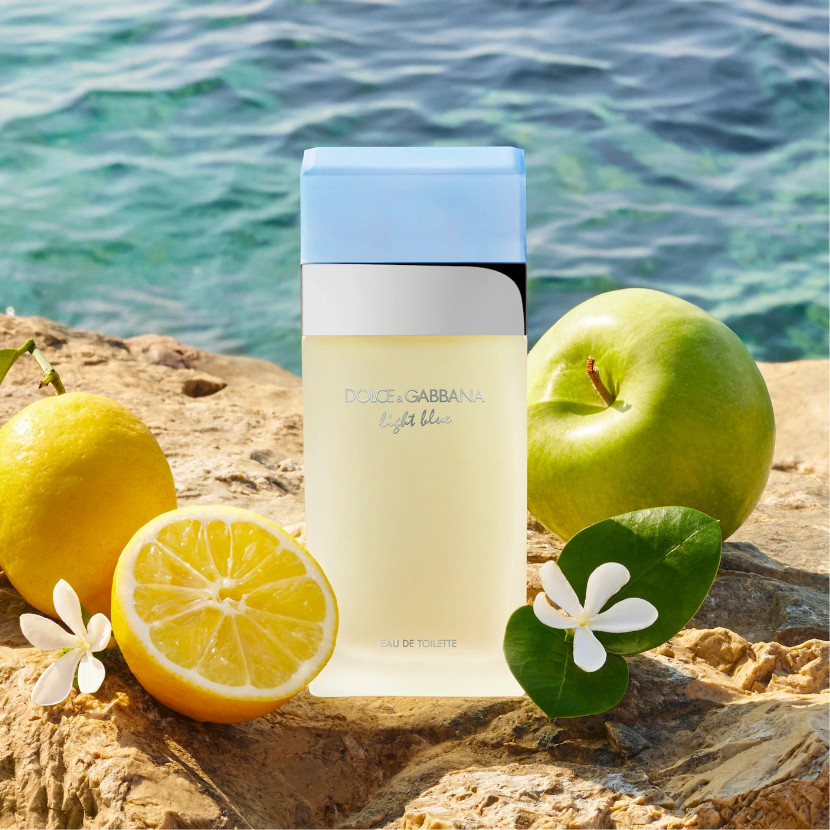 Dolce Gabbana Light Blue Eau de Toilette for Women Perfume