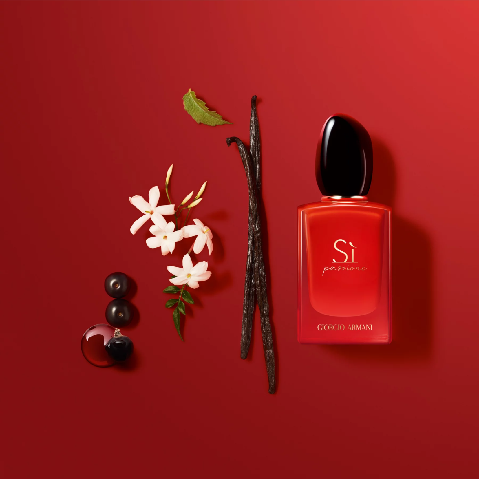 Giorgio armani si top vs si passione