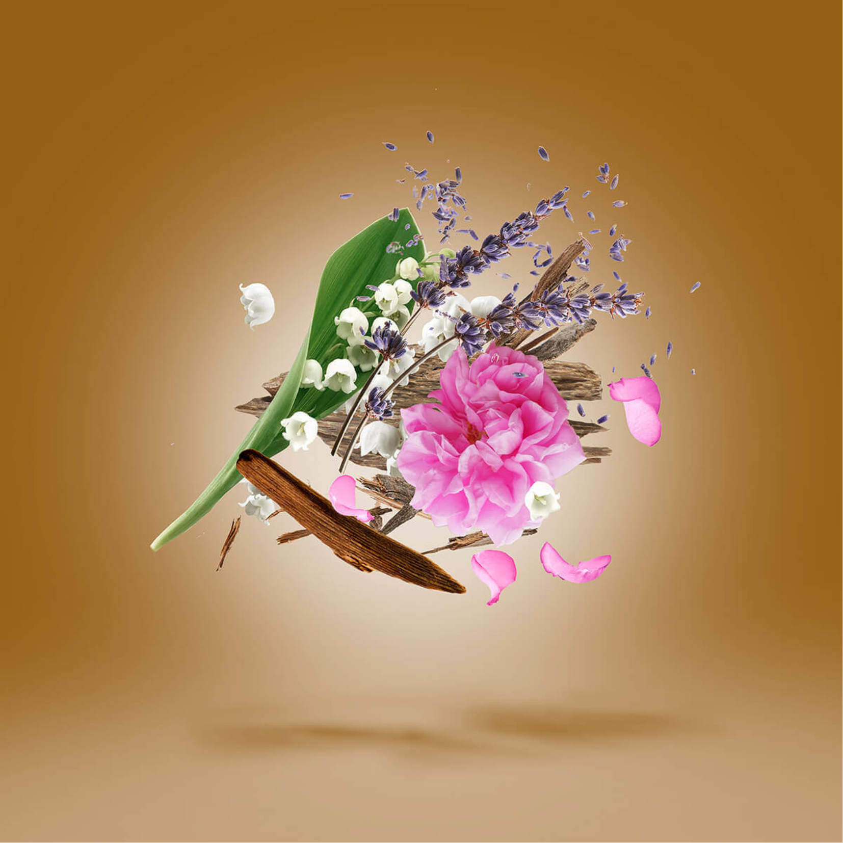 Xerjoff Alexandria II Eau de Parfum for Men – Perfume Network India Xerjoff Alexandria II Eau de Parfum for Men – Perfume Network India