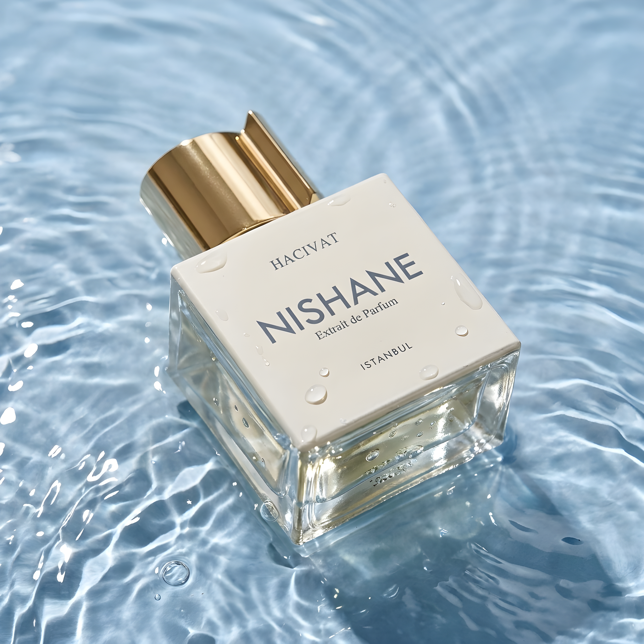 Nishane Hacivat Extrait de Parfum for Men – Perfume Network India