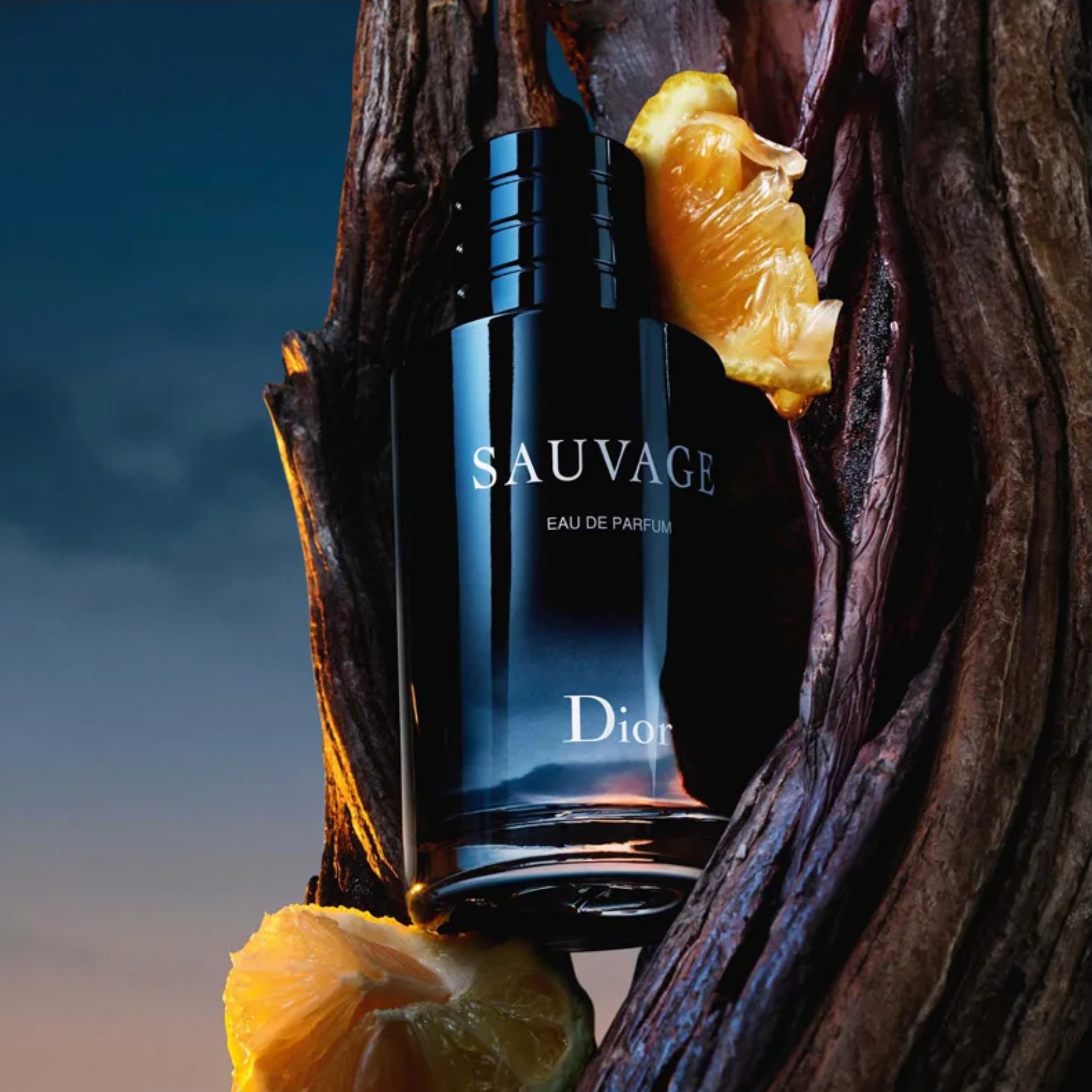 Dior Sauvage Eau de Parfum - 100ml