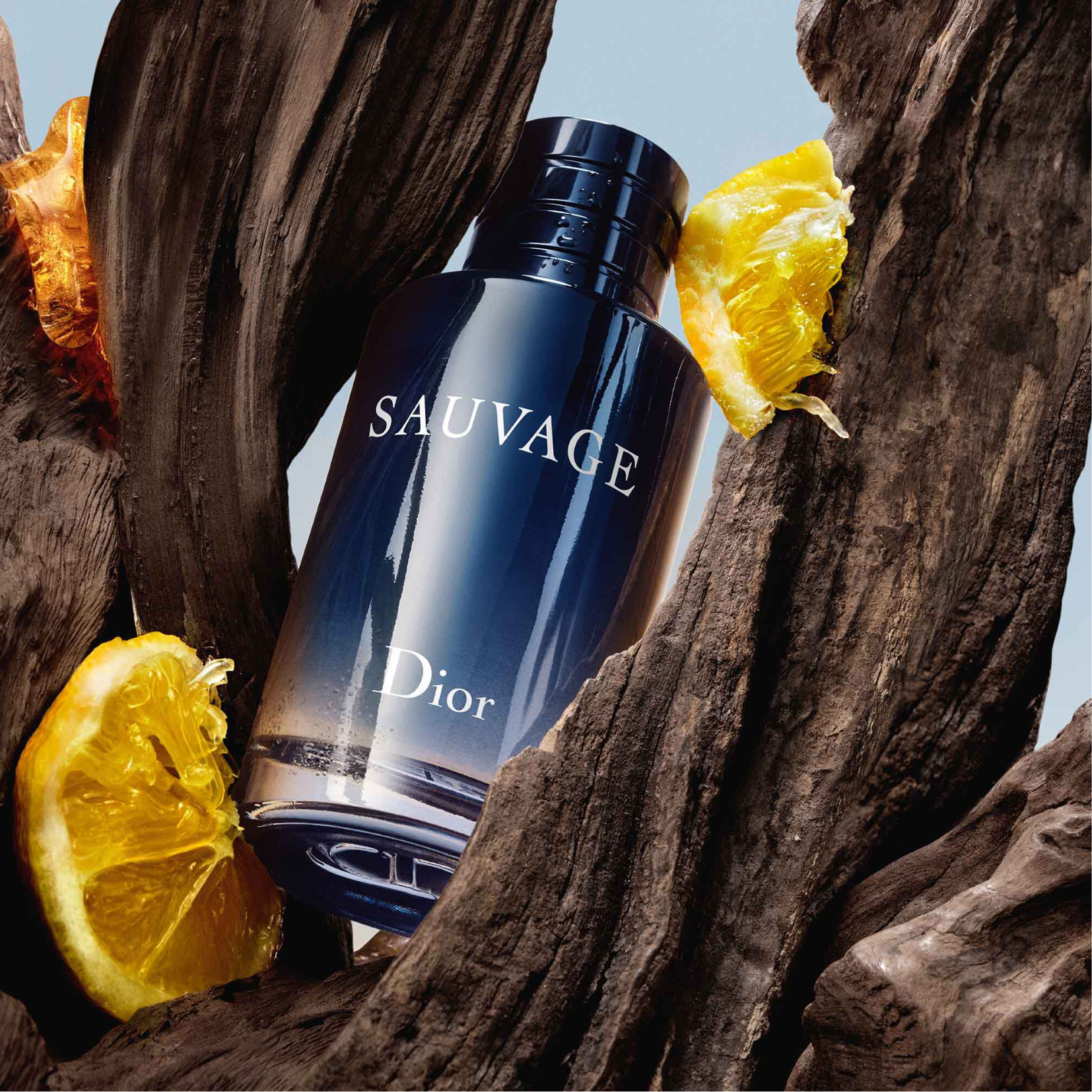 Dior top uomo sauvage