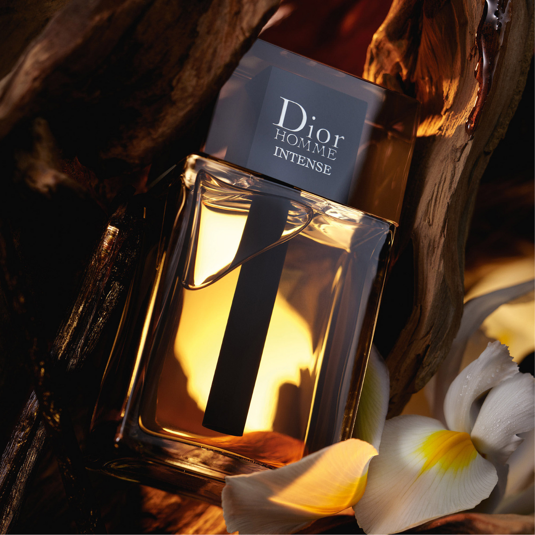 Dior Homme Intense Eau de Parfum 100ml