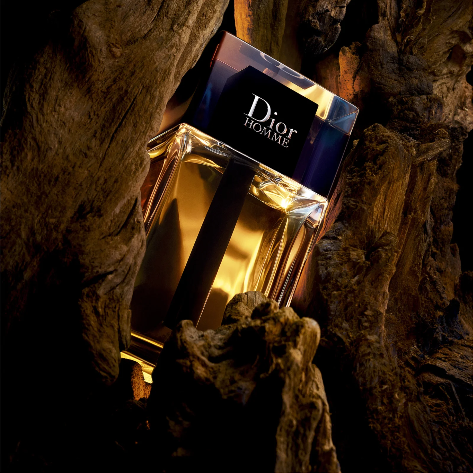 Dior homme 3.4 oz hotsell
