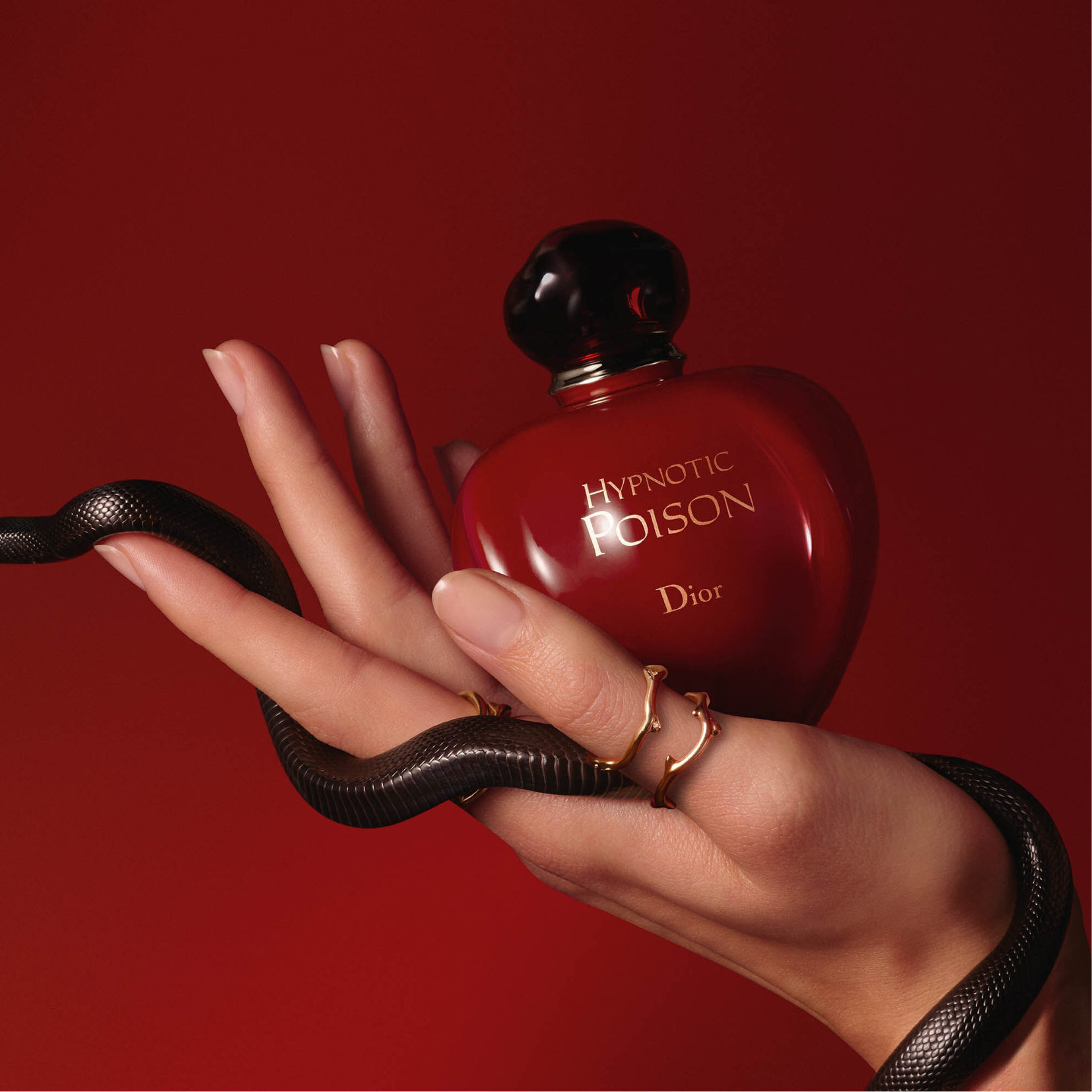 Hypnotic poison eau de discount toilette 100 ml