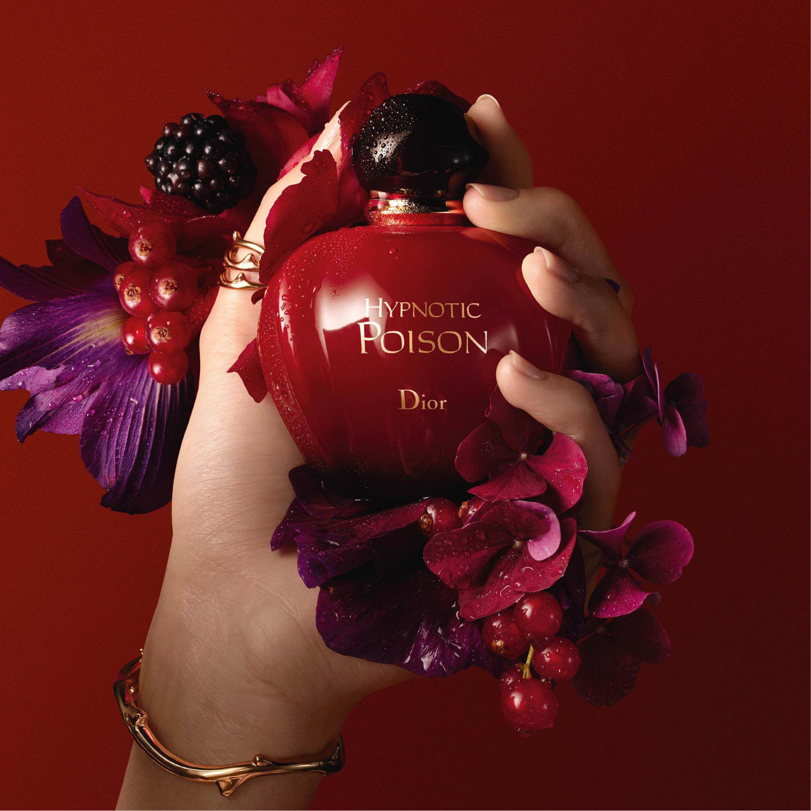 Parfum dior hypnotic poison discount 100ml