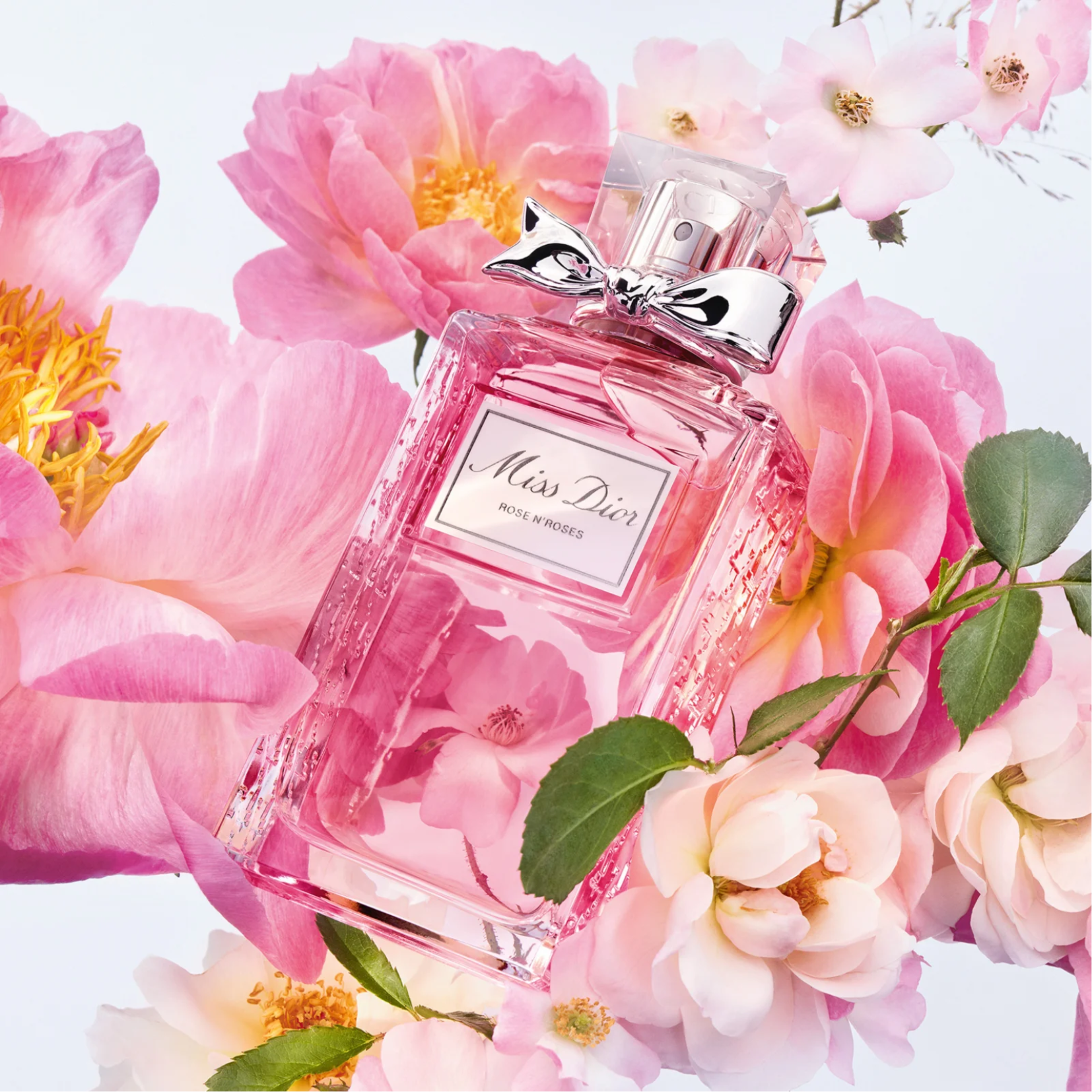 Rose best sale in perfume