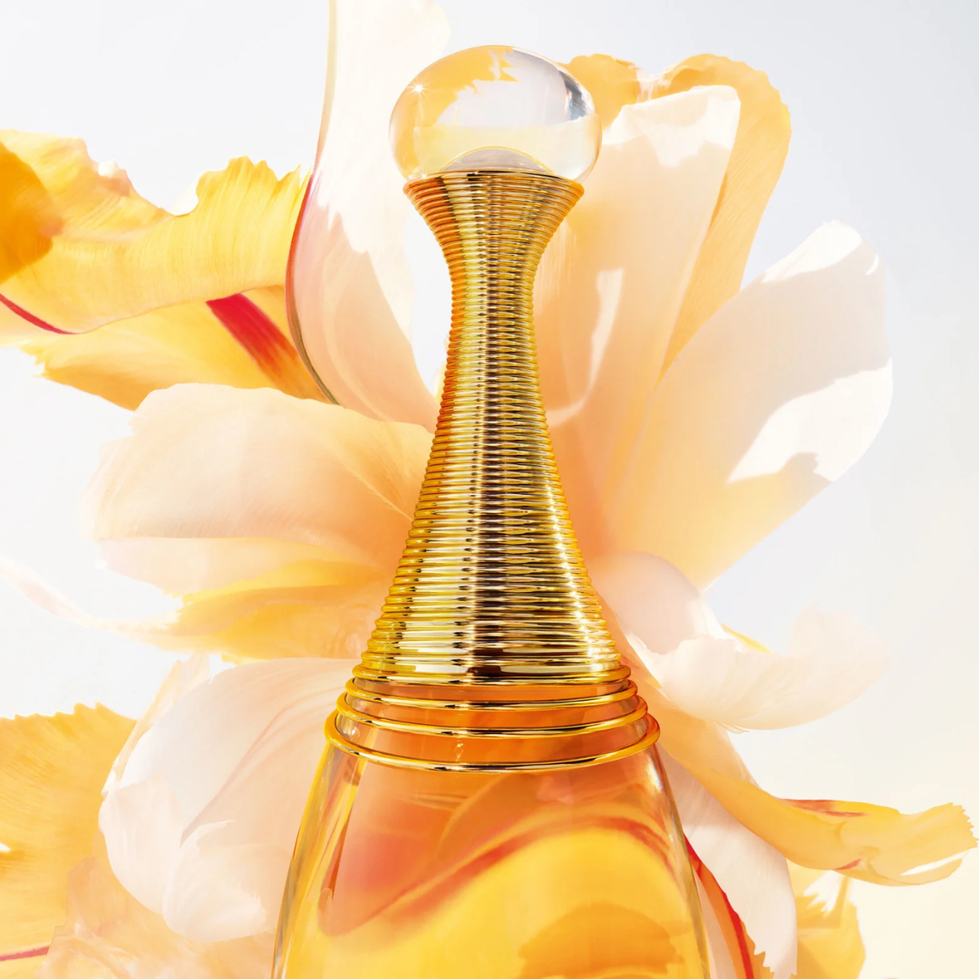 Best price jadore discount perfume