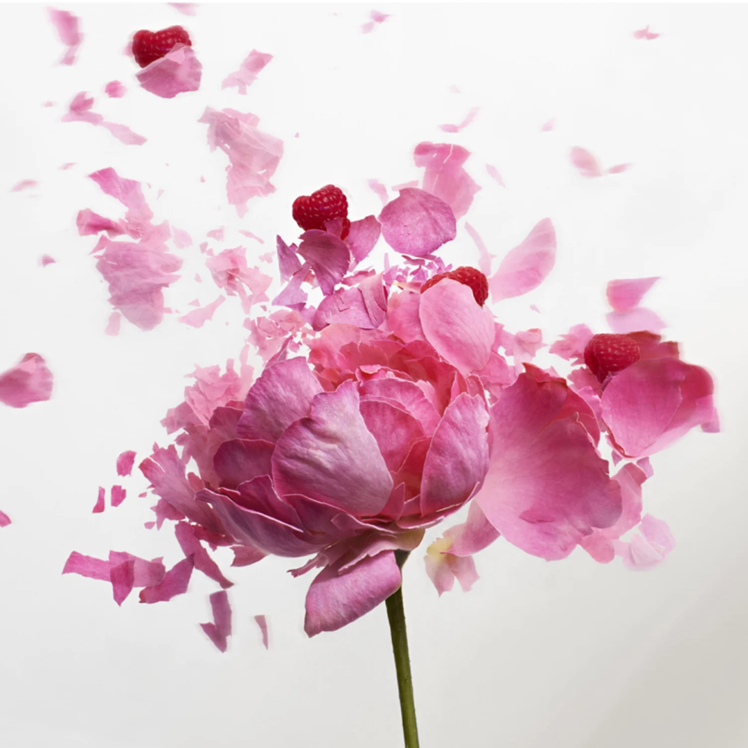 Nina ricci rose extase discount 80ml