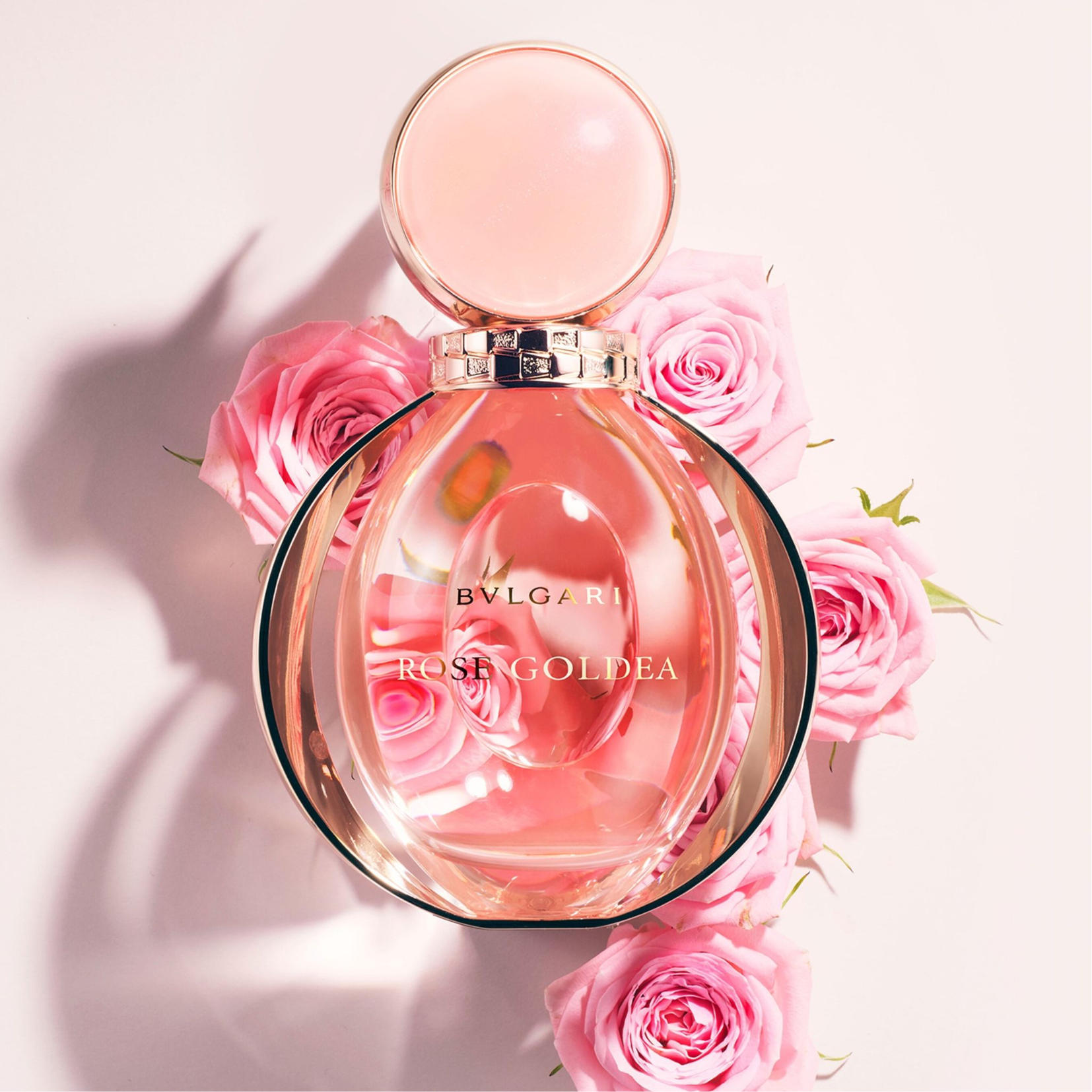 Bvlgari perfume rose discount gold