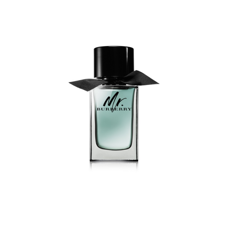 Burberry Mr.Burberry Eau de Toilette 100ml