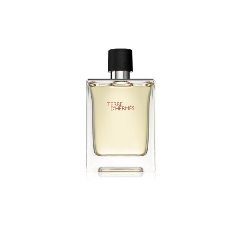 Hermes Terre de Hermes Eau de Toilette for Men Perfume Network India