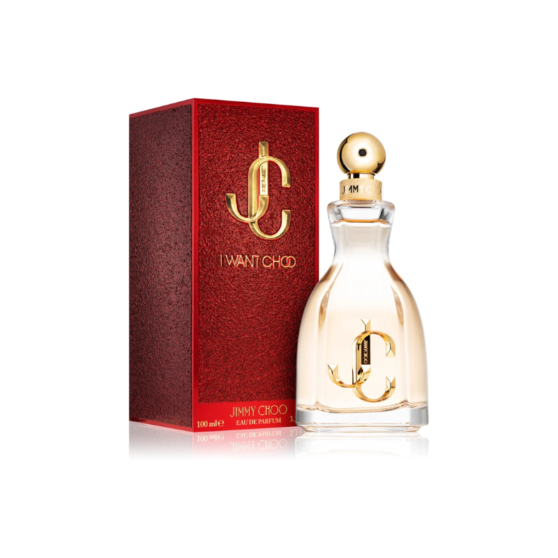 Jimmy choo discount edt 100ml